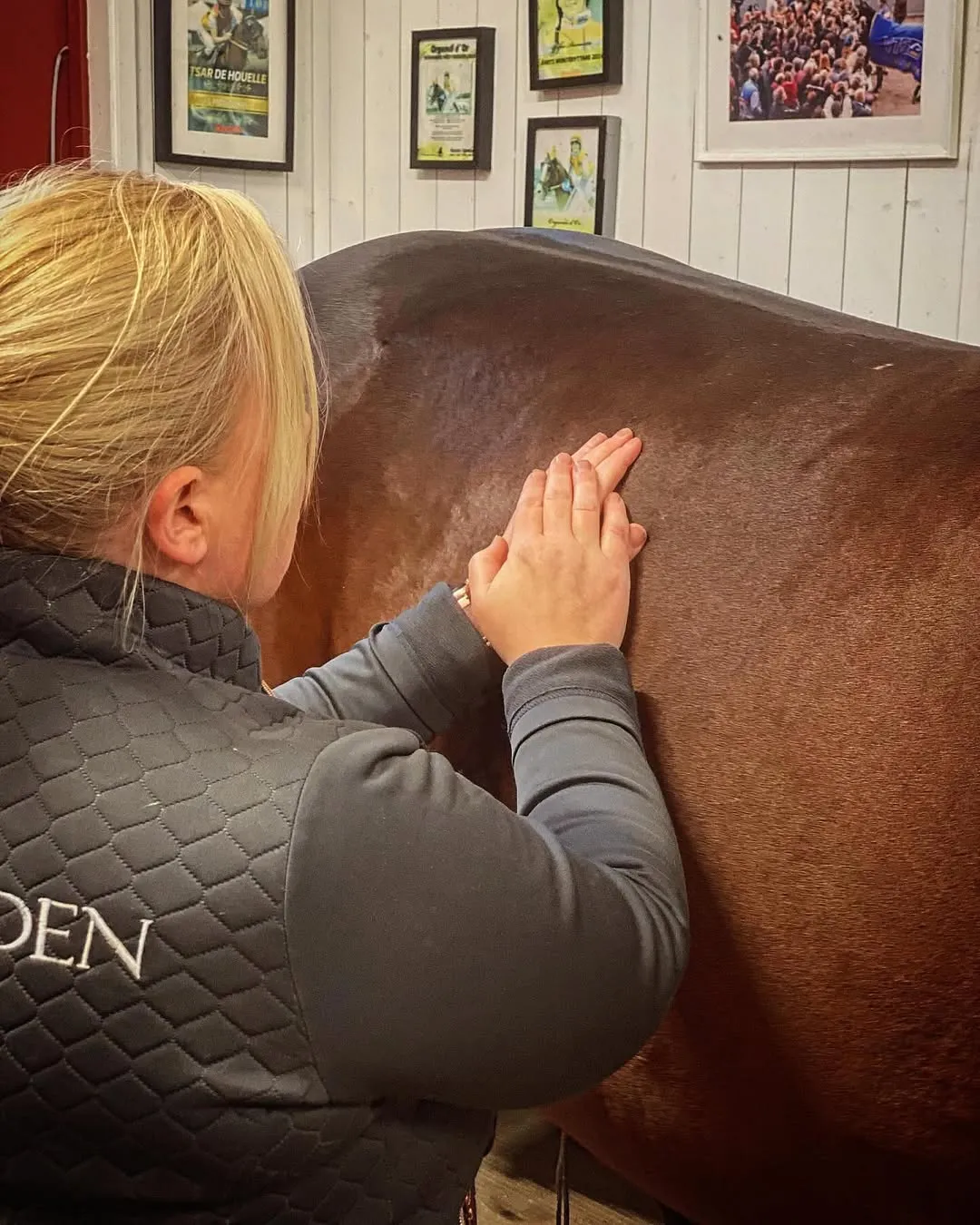 Michaela utför manuell massage på häst